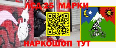 тгк Камышлов