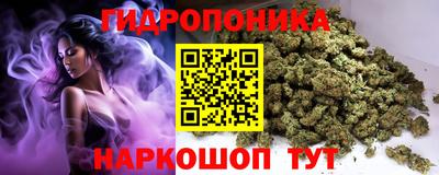 тгк Камышлов