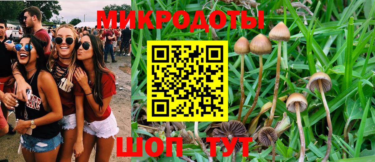 Псилоцибиновые грибы Magic Shrooms  закладки  Краснодар  Вход с VPN 